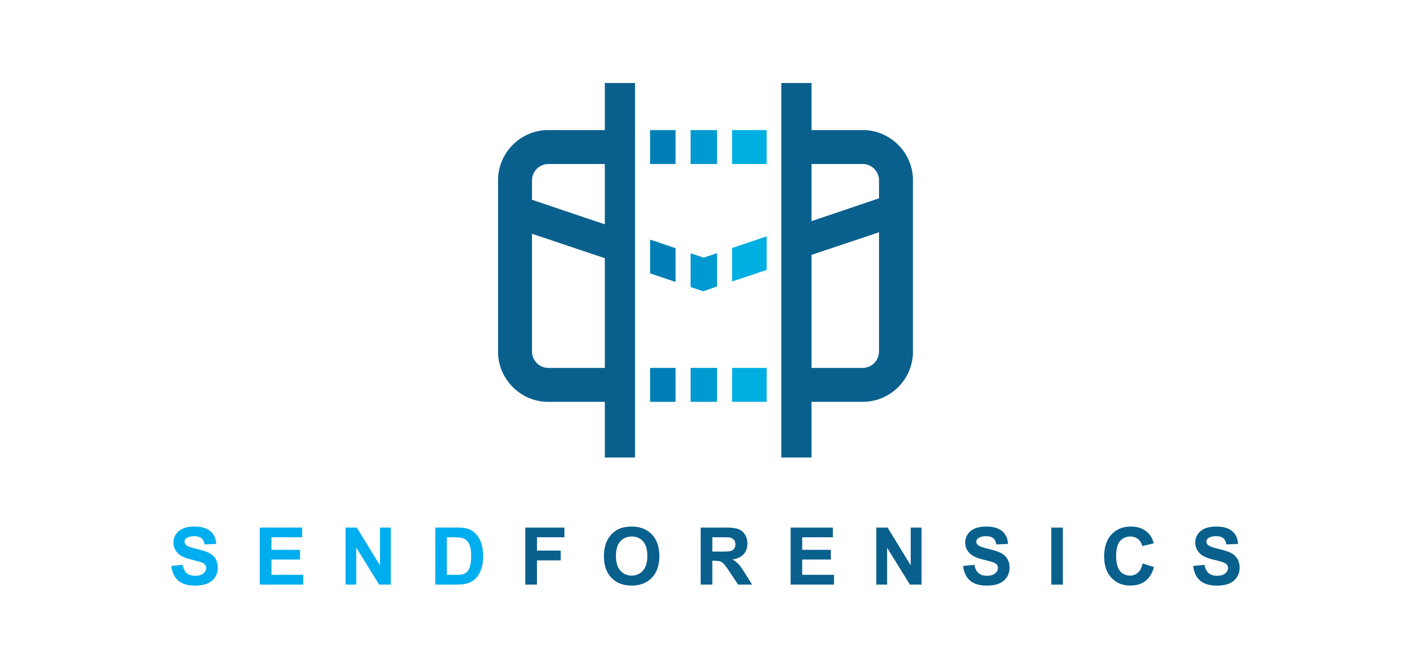 SendForensics-Blue-RGB-VR